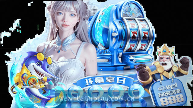 支持范围 理性选择